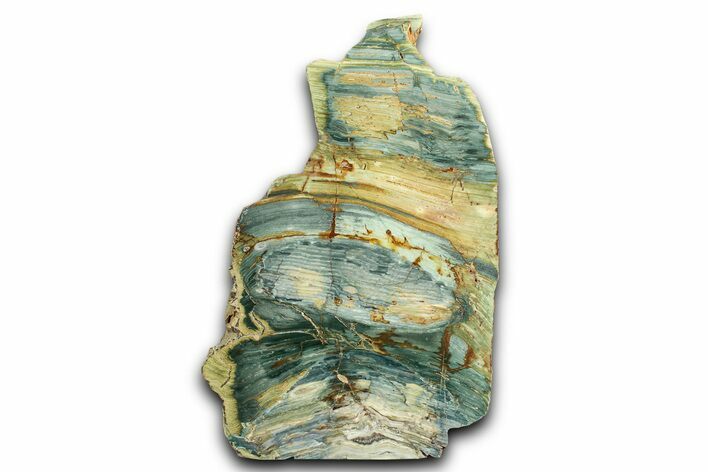 Free-Standing, Gary Green Jasper (Larsonite) Bog Wood - Oregon #334813